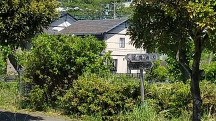 230509_散歩途中で見た富士山