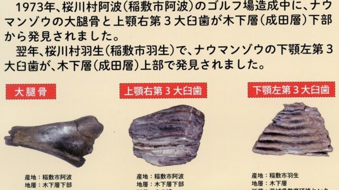 稲敷にゾウがいたころの景色