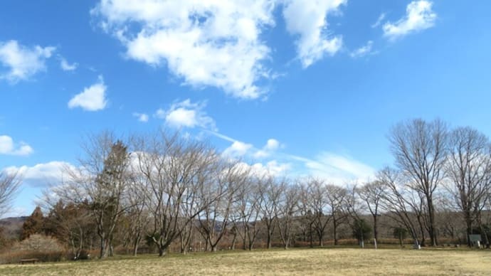 彫刻のある公園