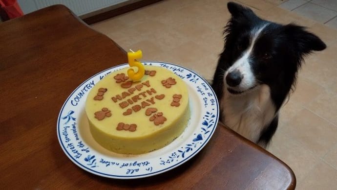 エトワール☆5歳のお誕生日