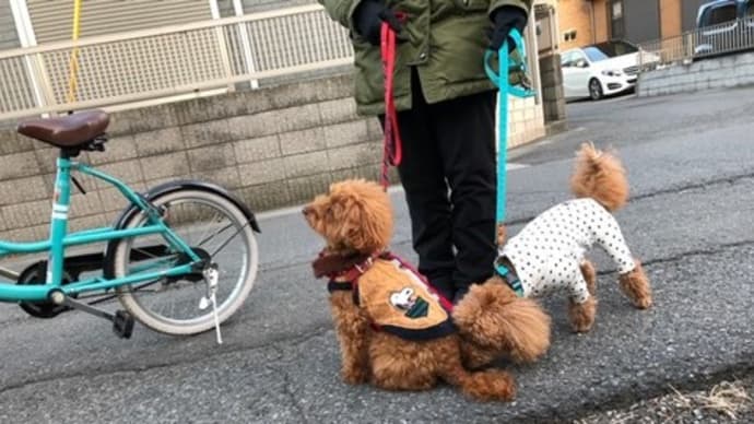 2月23日 やっぱ人が好き