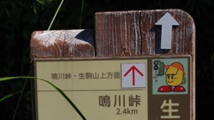 生駒縦走歩道~金の鳴る展望台へ