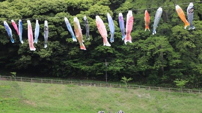 鯉のぼり隊と鯉のぼり