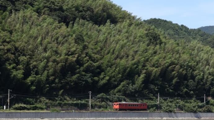 撮影予定地の近くで