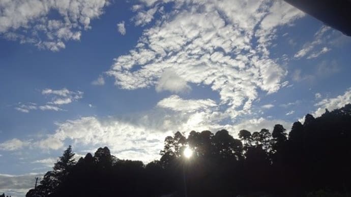 空が綺麗