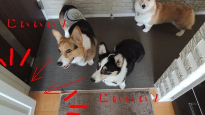 やっと動けた!