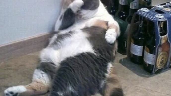 一枚の写真『経済効果に貢献です!』