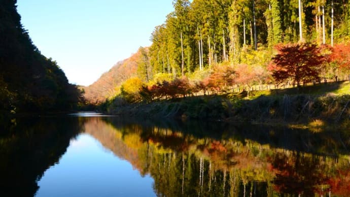 埼玉四季便り(嵐山渓谷)2023.12.2