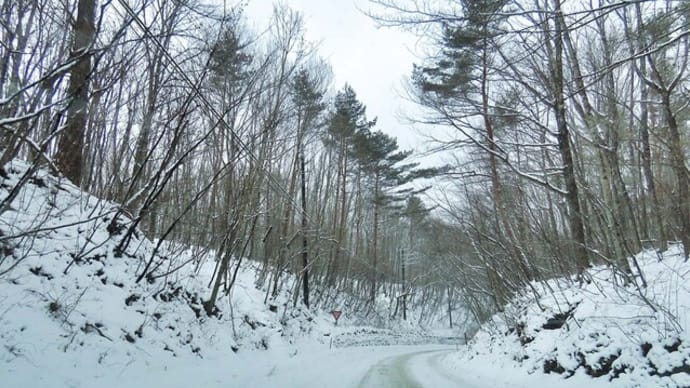 雪化粧の白糸の滝 AIでライトアップ 黒猫