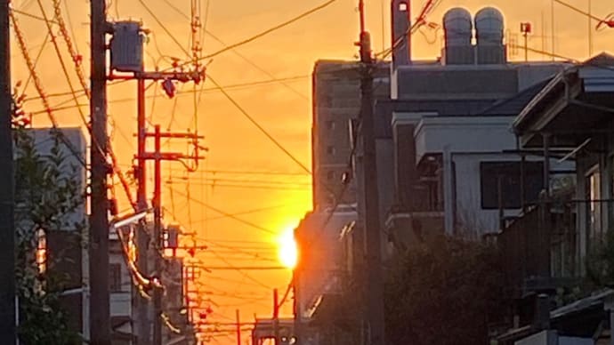 色んな風景~夕暮れ散歩道~