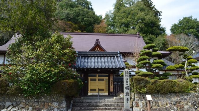楞厳寺のミツバツツジ