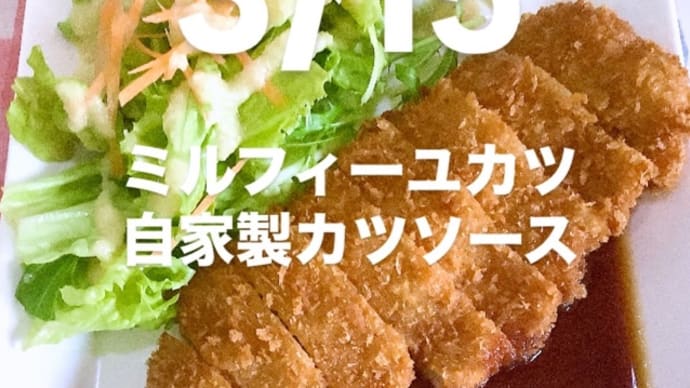 令和7年3月15日の日替わり定食(800円)は、ミルフィーユカツ 自家製カツソースです