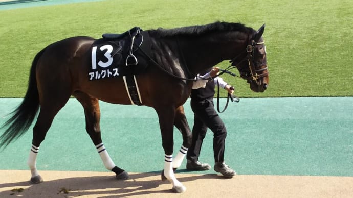 🐴チャンピオンズC 2020