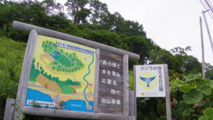 クジラの見える丘公園