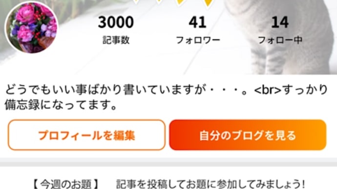 今日でブログ記事数3000だって!