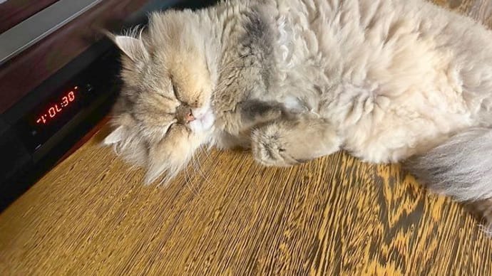 休み前夜を満喫しようと思ったけど。