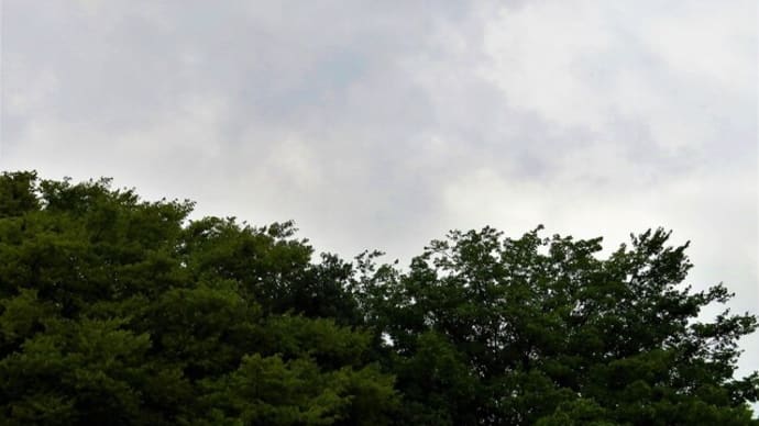 雨が降って、肌寒い1日でした！