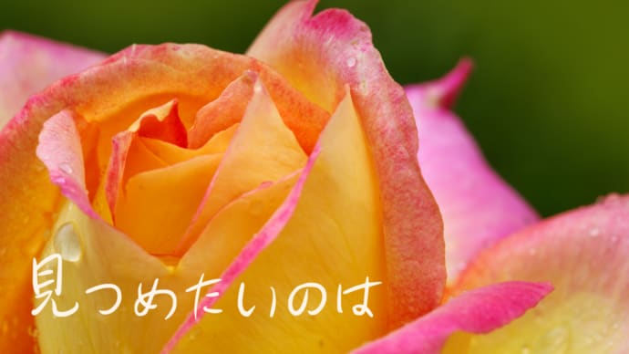 垣間見る