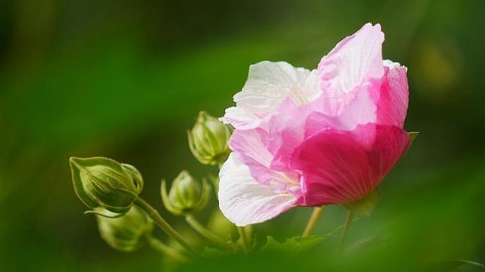 小春日和と言うより小夏日和?