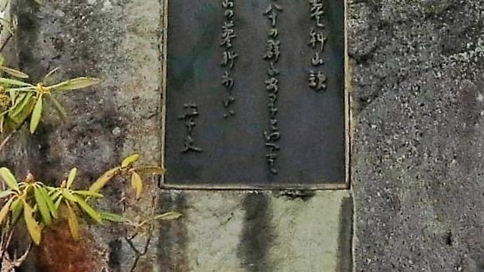 伊藤左千夫と蓼科山 2