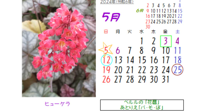 5月の花暦：2024