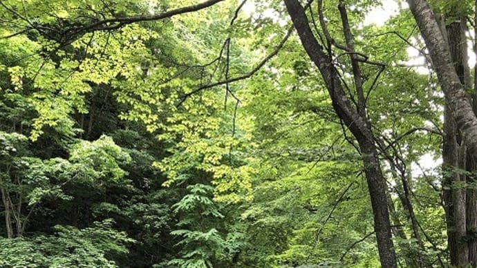 誰もいない平和の滝