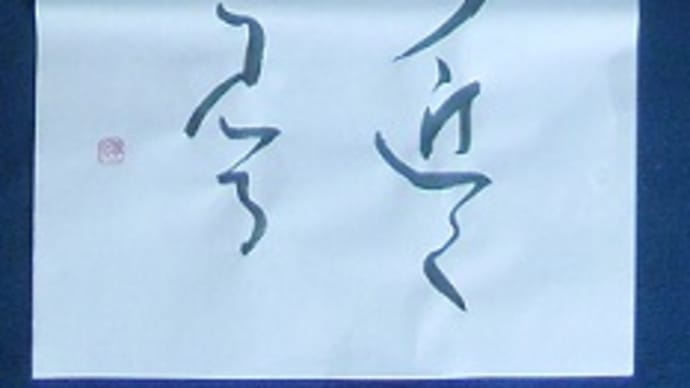 書道教室　条幅　６月号上級課題・仮名　しかたないけどこれを仕上げに　～犬の糞尿被害～