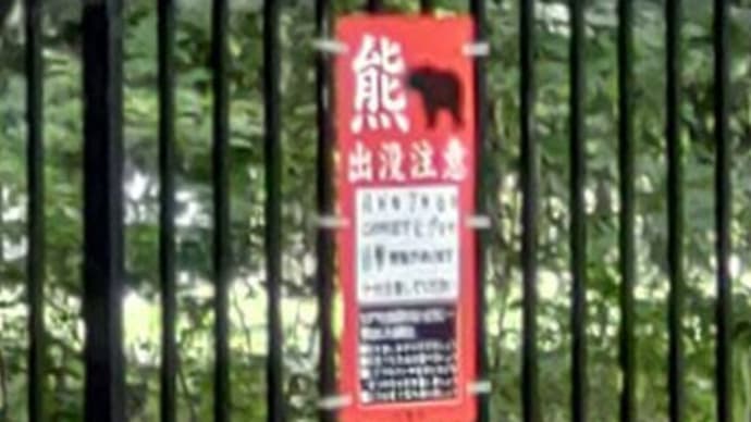 熊出没注意