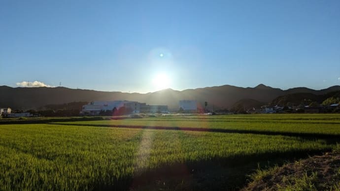 なんだかんだではや2年🙄