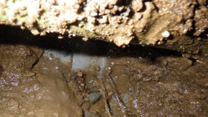 水道管の漏水の一コマ