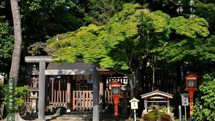 新緑に 会ふは幾たび 社の二神