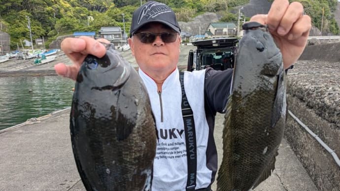 南伊豆 下流 今日の釣果