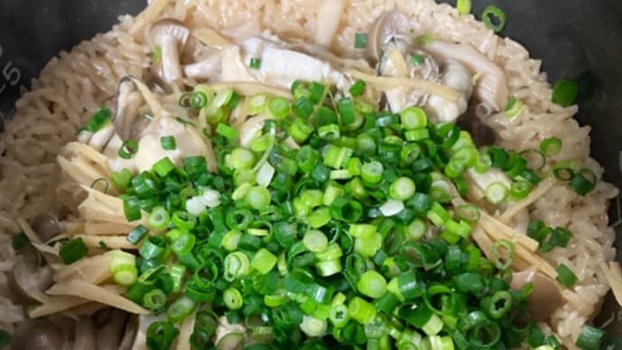 青ねぎたっぷり牡蠣ご飯と焼き牡蠣