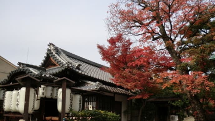 京都妖怪探訪（２３７）：2012年・圓徳院の竜と紅葉