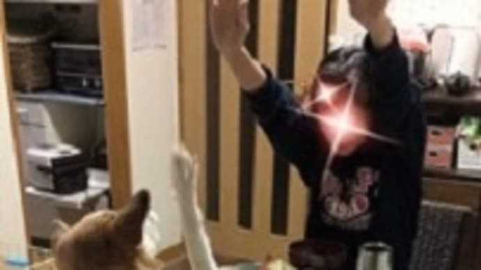 \バンザーイ/