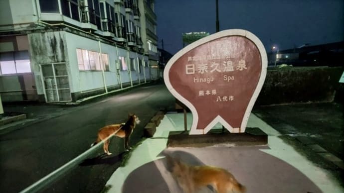 冬休み犬連れ車中泊の旅・3日目「道の駅 あそ望の郷くぎの」