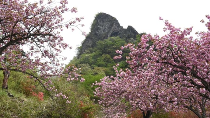 桜写ん歩:さくらの里