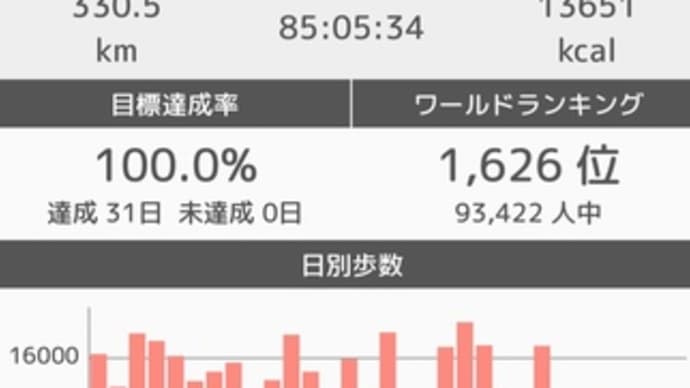 🚶♀️2019年12 月と2019年の歩き纏め 👣