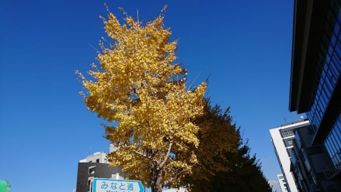 風邪でダウン