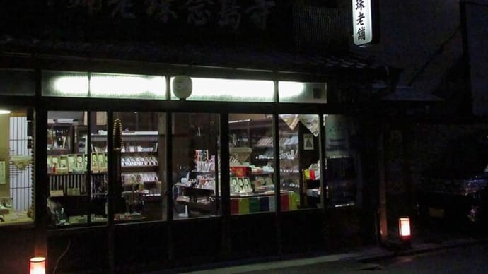 東本願寺門前路花灯路から渉成園ライトアップ 黒猫の影