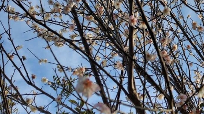 〝心田を耕す〟とは?