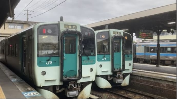 【徳島・香川】JR徳島駅(徳島線)〜JR琴平駅(土讃線)までを静かに見守る・帰りは鹿とぶつかるおまけ付きの日