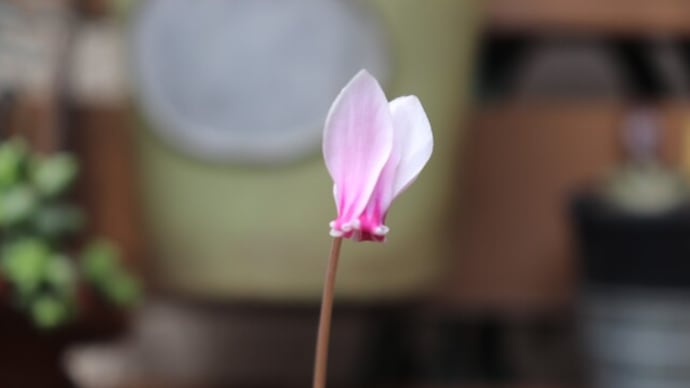 10月になりました~