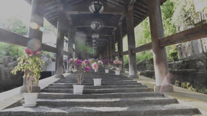 長谷寺駅に戻ってきました　　　　13
