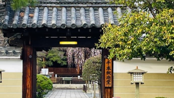 桜と椿と、、千本釈迦堂