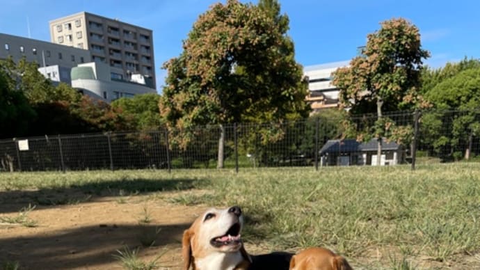 まだまだだよね