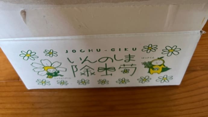 除虫菊を取り寄せてみたけど・・・考えが甘かったような