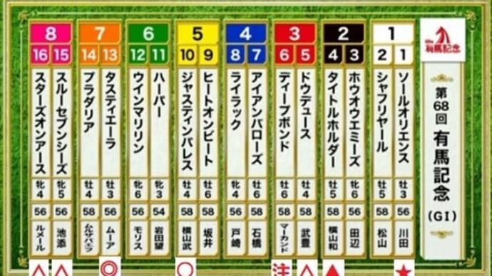 有馬記念と今年の競馬の総括