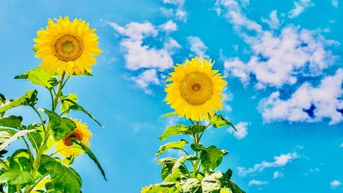 2021年8月になりました。
