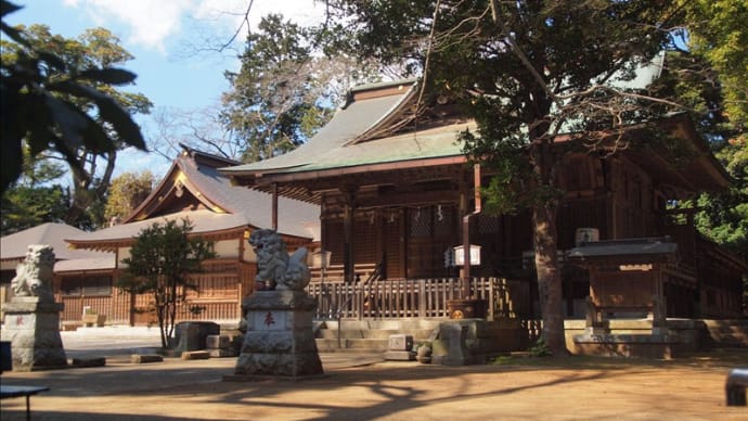 神崎神社のナンジャモンジャの木